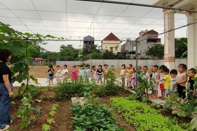 Các hoạt động sôi nổi ngoài trời