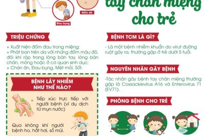 TUYÊN TRUYỀN PHÒNG CHỐNG BỆNH “TAY CHÂN MIỆNG” Ở TRẺ EM.