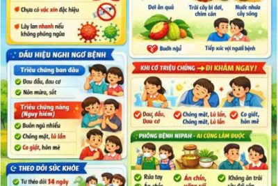 ​  PHÒNG, CHỐNG DỊCH BỆNH DO VIRUS NIPAH   ​